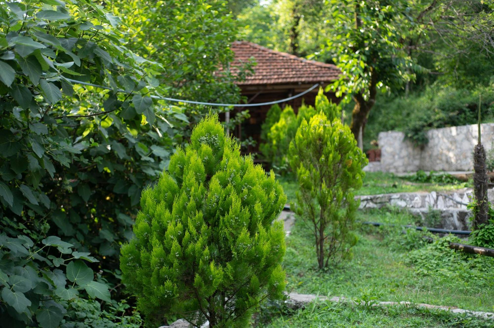 Gordela Hotel Gordi Esterno foto